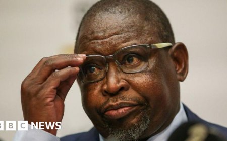 South Africa's finance minister fails to unveil budget after tax row