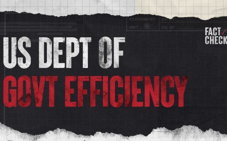 FACT CHECK: US Department of Government Efficiency