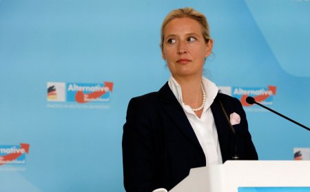 Germany: Will the far right beat the ‘firewall’?