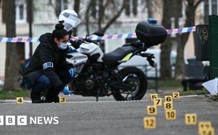 One dead in stabbing in French city of Mulhouse