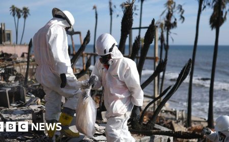 From Baywatch to toxic waste - LA's iconic beaches unrecognisable after fires
