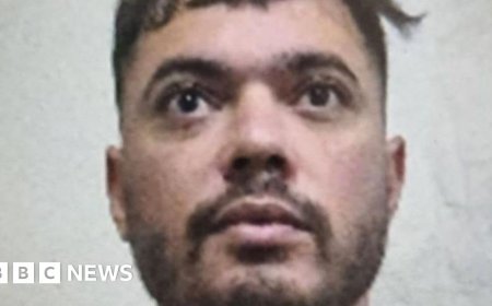 French prisoner 'The Fly' arrested nine months after deadly van ambush