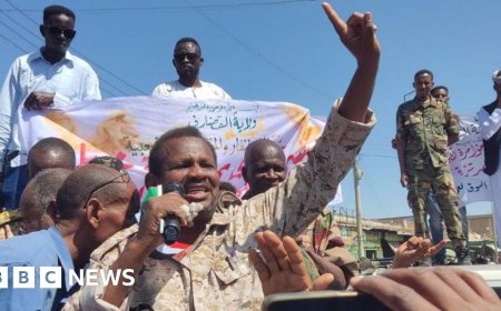 Sudan army ends two-year siege of key city