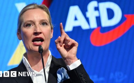 Five key takeaways from the German election