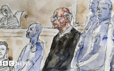 Ex-surgeon admits 'despicable acts' in French child abuse trial