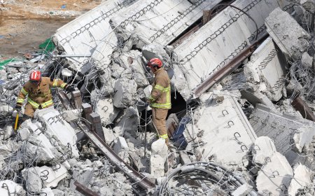 Four killed in South Korea road collapse