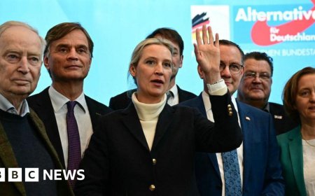 German politics froze out the far right for years – is this about to change?