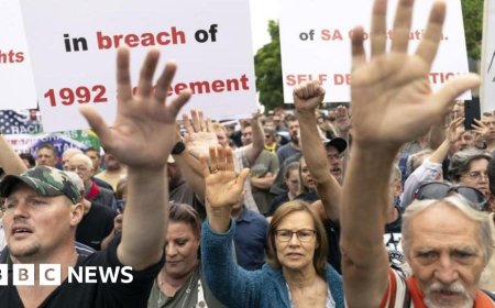 Claims of white genocide 'not real', South African court rules