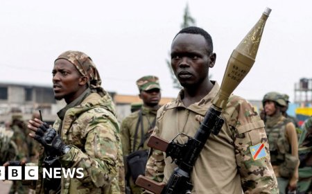 UK suspension of aid is 'punitive', Rwanda says