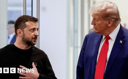 What we know about US-Ukraine minerals deal