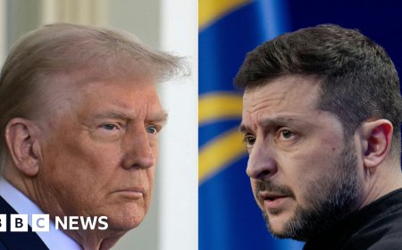 Zelensky to meet Trump in Washington to sign minerals deal