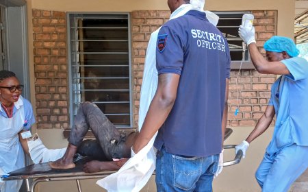 Blasts, gunfire kill several at M23 rally in eastern DR Congo