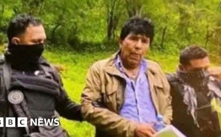 Notorious Mexican drug lord among 29 extradited to US