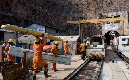 More rescuers join search for trapped workers in India’s tunnel collapse