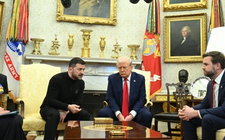 Trump and Zelenskyy in heated Oval Office discussion