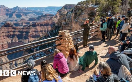 Cuts to national parks and forests met with backlash as summer nears
