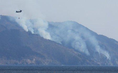 Japan deploys 2,000 firefighters to tackle worst forest blaze in decades