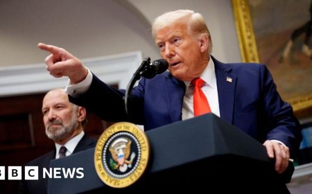 Markets sink as Trump confirms tariffs on Canada, Mexico and China