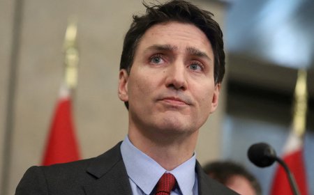 ‘Dumb thing to do’ Canada, Mexico, China condemn Trump tariffs