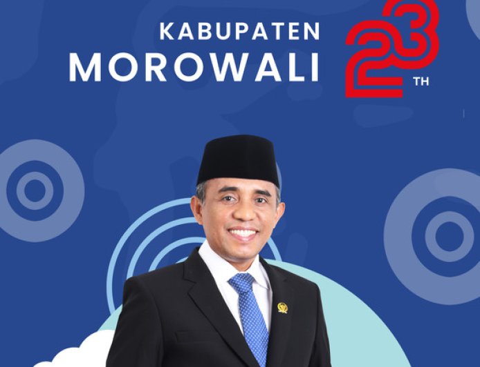 Drs. H. Anwar Hafid, M.Si