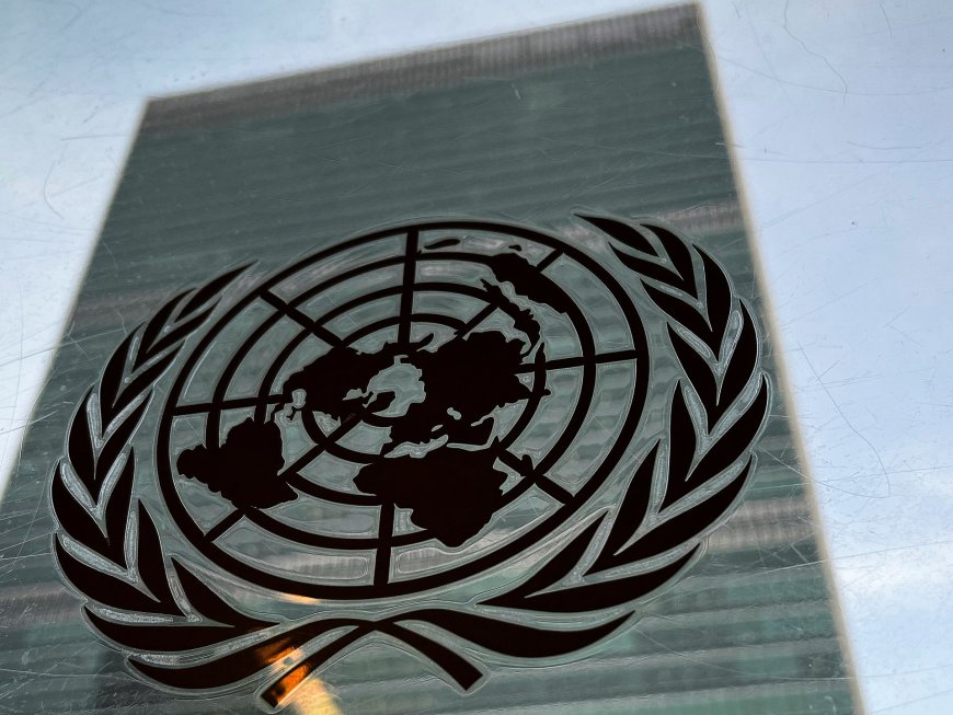 UN suspends trips into Houthi-held areas of Yemen after more staff detained