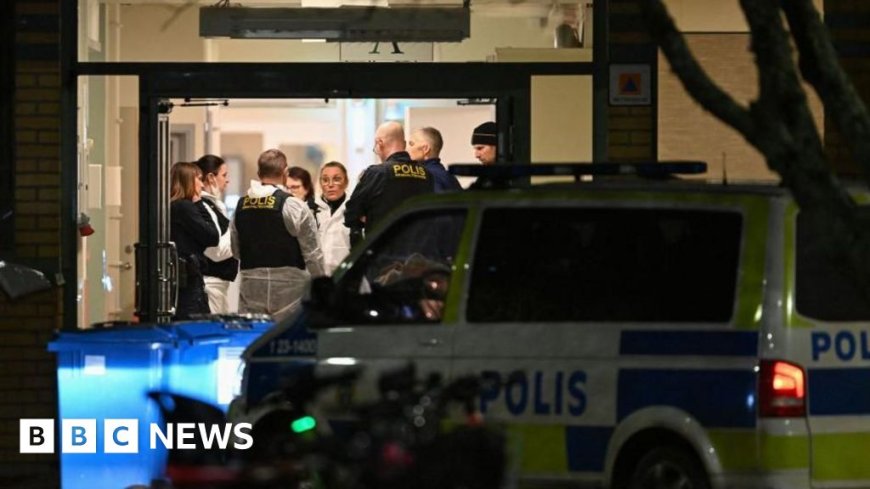 What do we know about the Sweden school shooter?