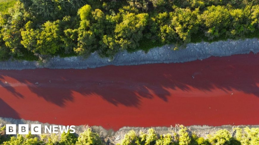 Argentina canal turns bright red, alarming residents