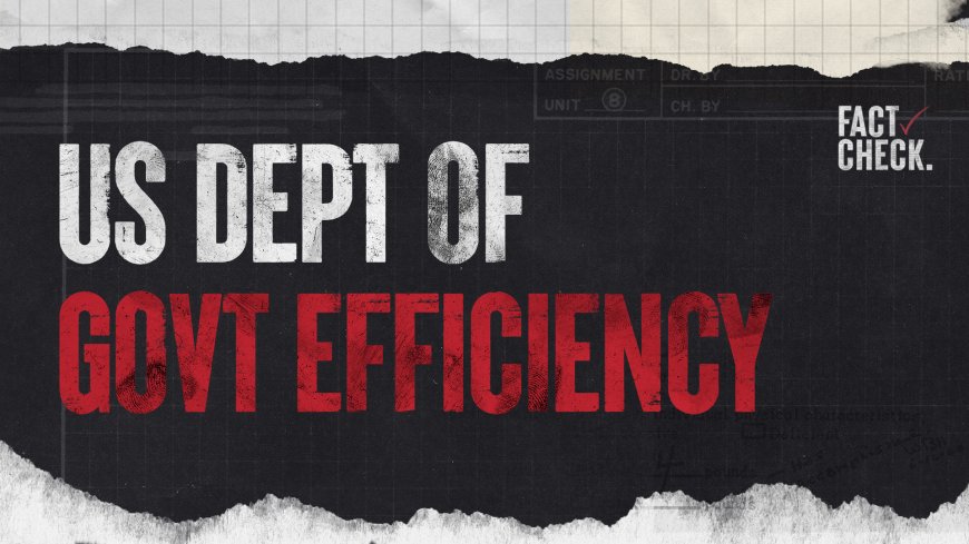 FACT CHECK: US Department of Government Efficiency