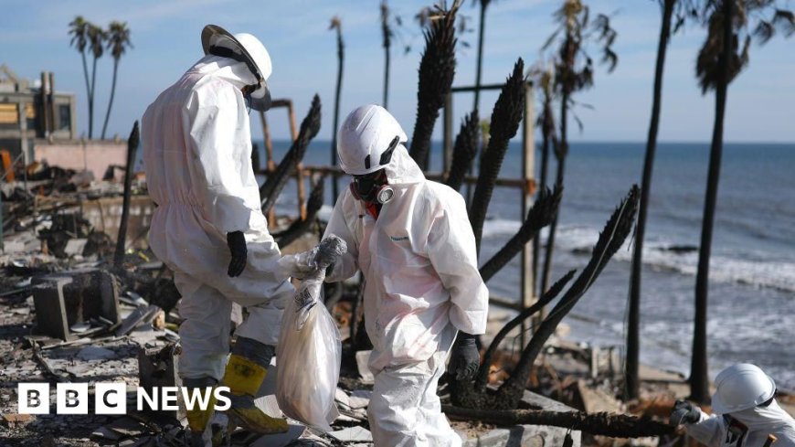 From Baywatch to toxic waste - LA's iconic beaches unrecognisable after fires
