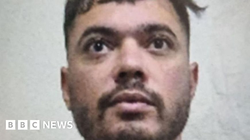 French prisoner 'The Fly' arrested nine months after deadly van ambush